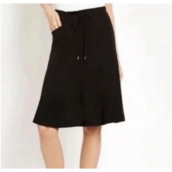 Eileen Fisher 100% Silk Skirt Black Gored Georgette Crepe Pockets Size Small - Picture 1 of 10